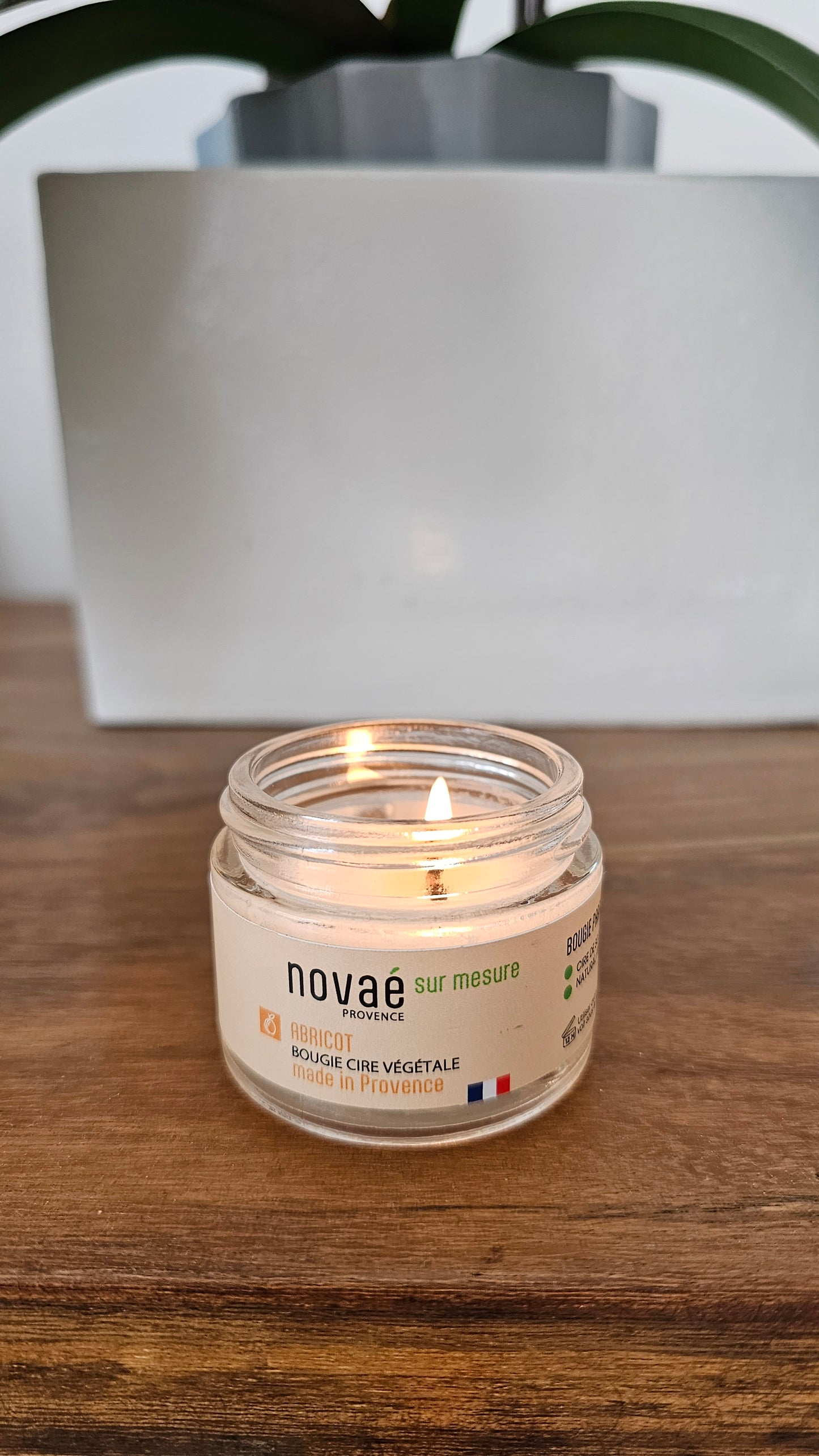 Bougie Cire Végétale Abricot 20g